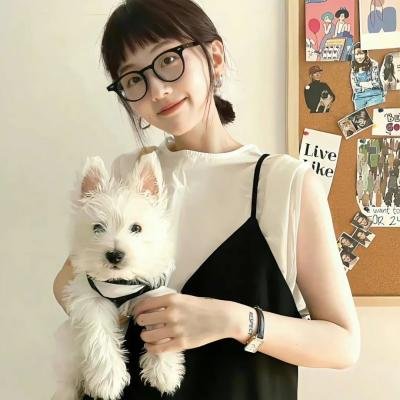 熊出没注意
